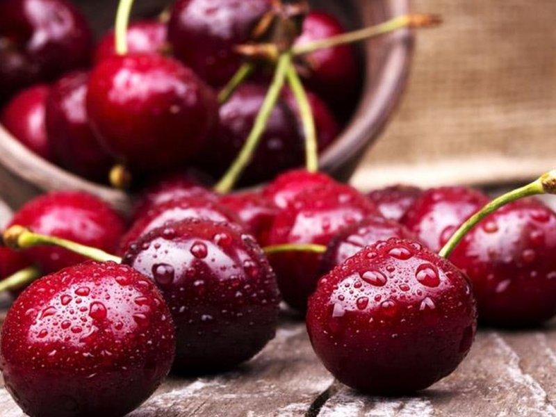 Вишня купить саженцы из питомника в Черногорске